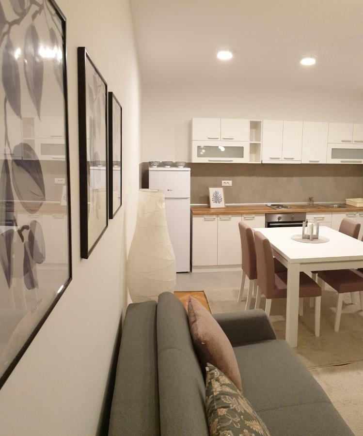 Lovely Private Flats Free Parking * Novi Sad